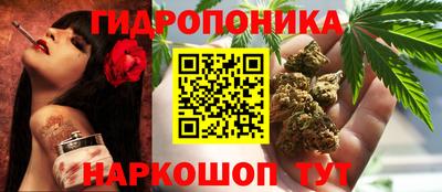 PSILOCYBIN Краснодар