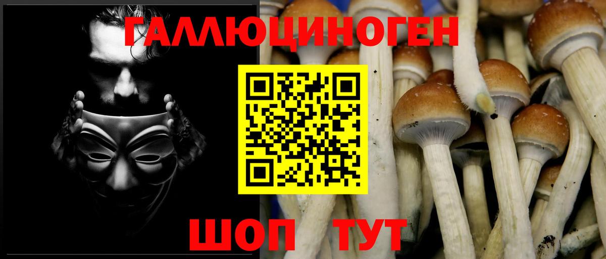 Добрянка  Псилоцибиновые грибы мицелий  Вход с VPN 
